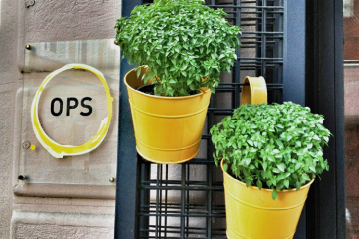 opscafe