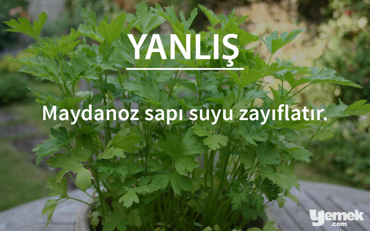  herbsnsalads - beslenme efsaneleri