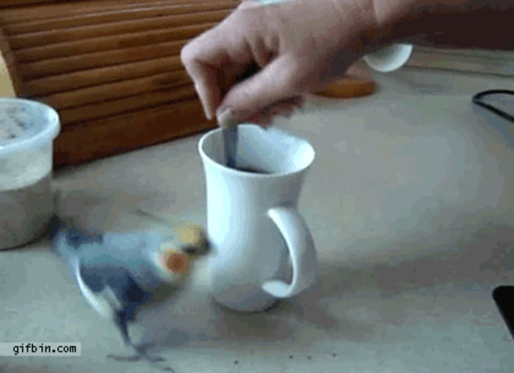 gifbin