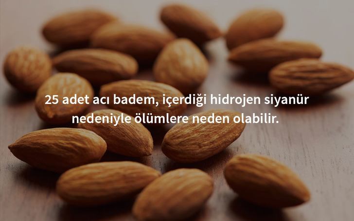 zehirli-aci-badem