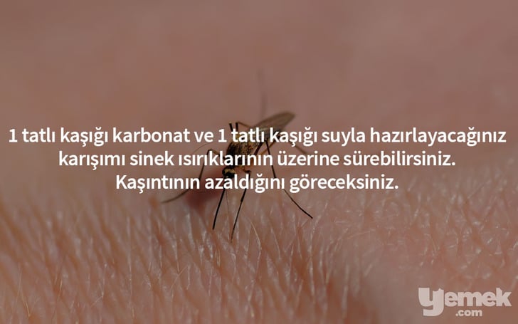 sinek-isirigi-karbonat