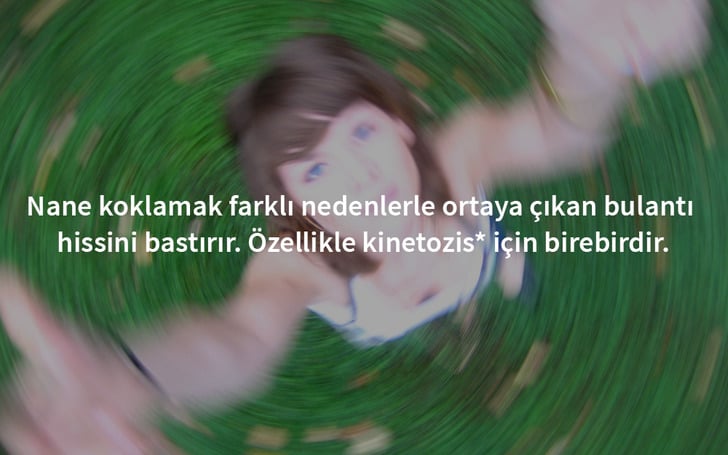 deniz-tutmasi-nane