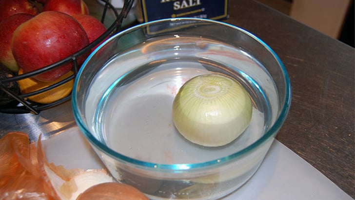 dishbydish