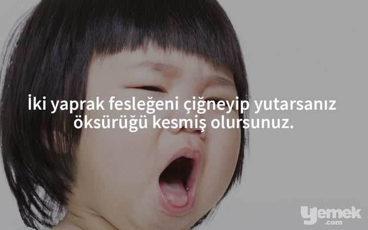 feslegen-oksuruk