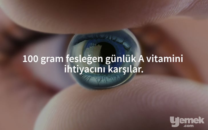 feslegen-gozler
