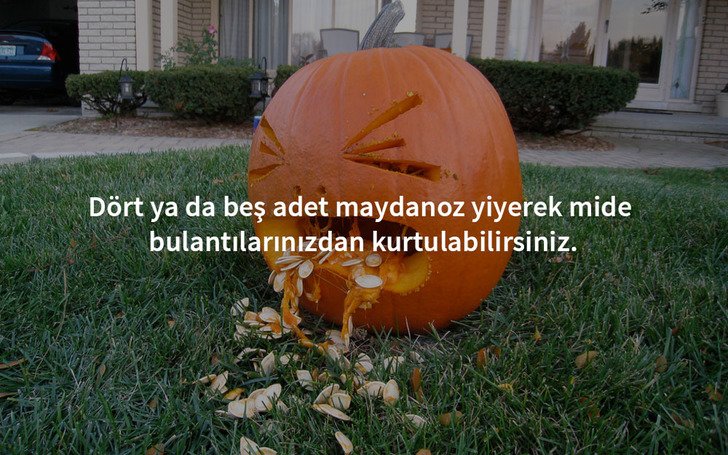 mide-bulantilari-maydanoz