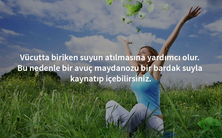 odem-attiran-maydanoz1