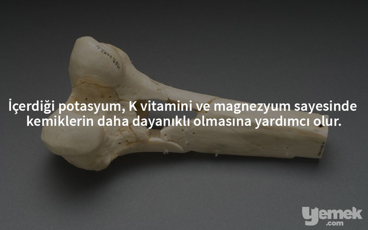 kemik