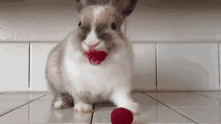 boredpanda