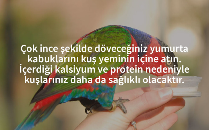 yimirta