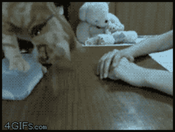 boredpanda