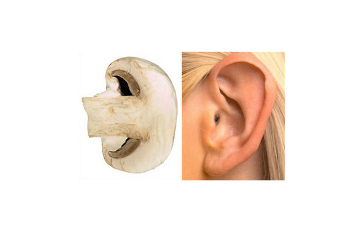 erinjanus
