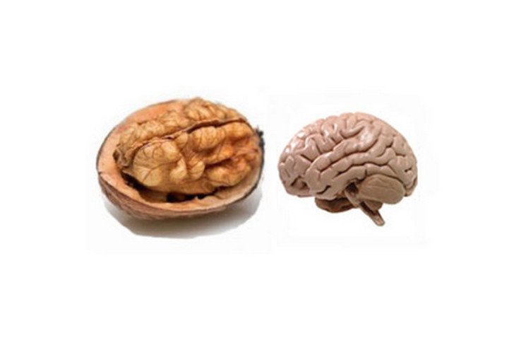 erinjanus
