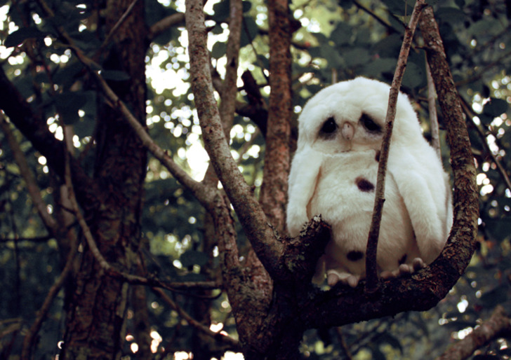 tumblr