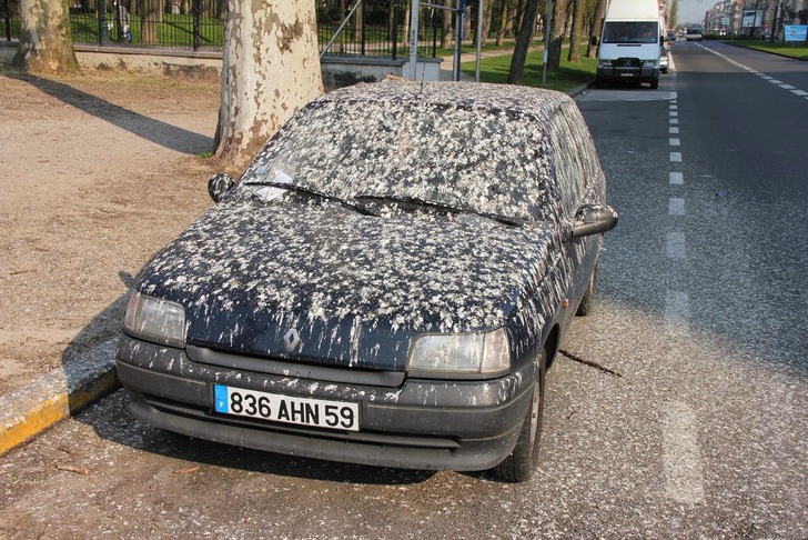 izatisaadahsaadali