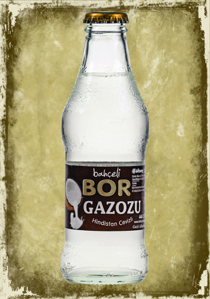 gazozcum.com