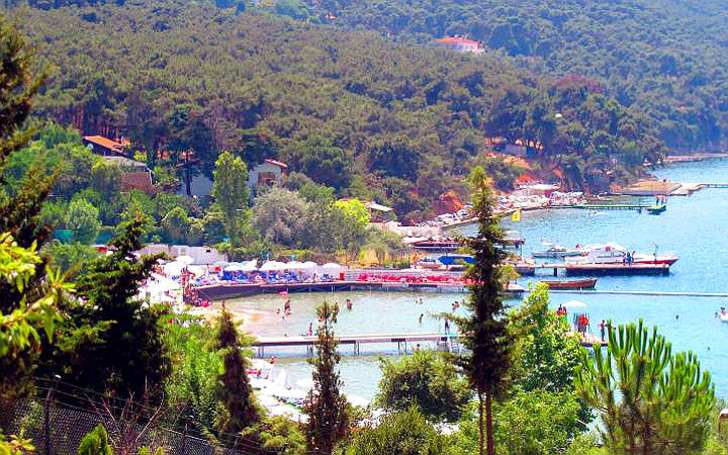 gezialemi