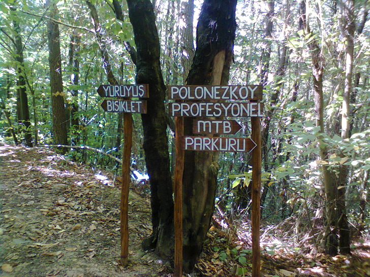 polonezkoy
