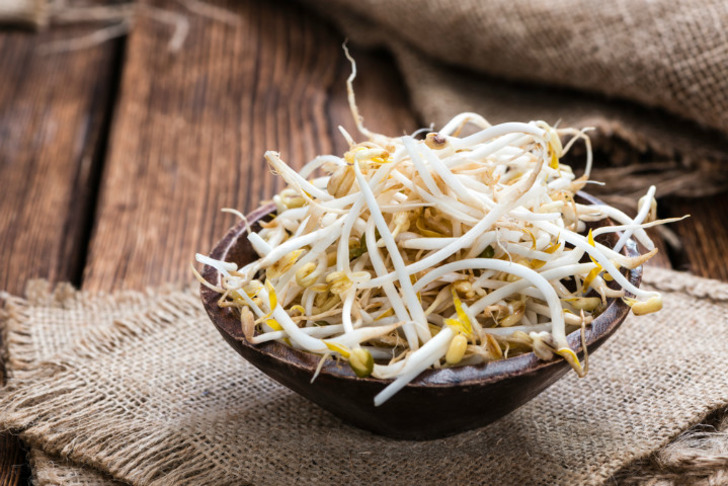soya-filizi-asya