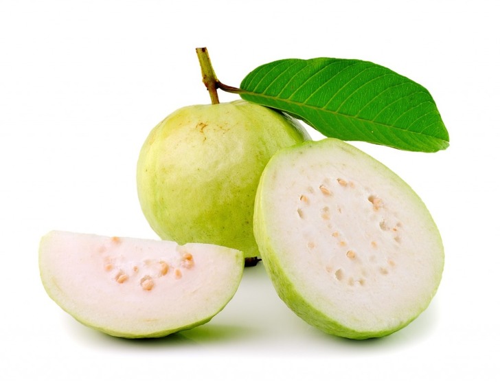 guava-leaf