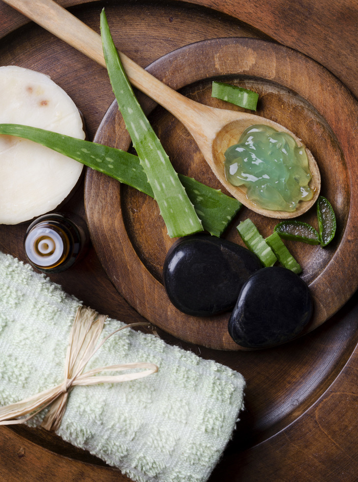 cilde iyi gelen aloe vera
