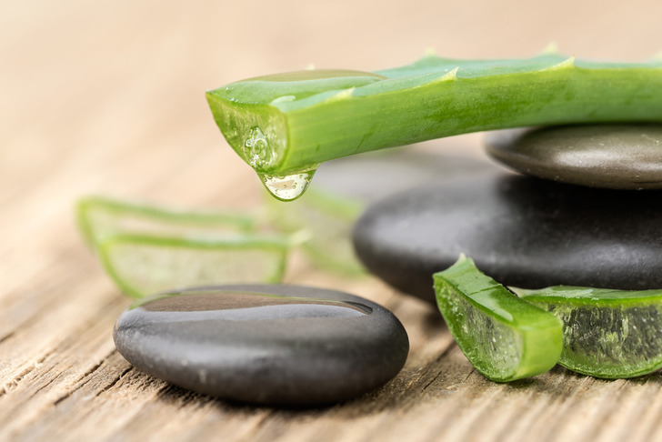 aloe-vera-kuru-ciltleri-nemlendirir
