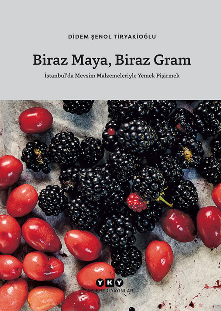 kultursanatharitasi - biraz maya, biraz gam
