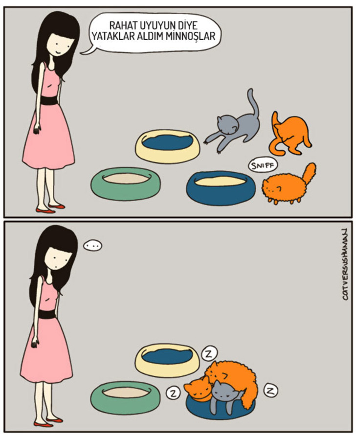 http://www.boredpanda.com/cat-logic-funny/ | boredpanda