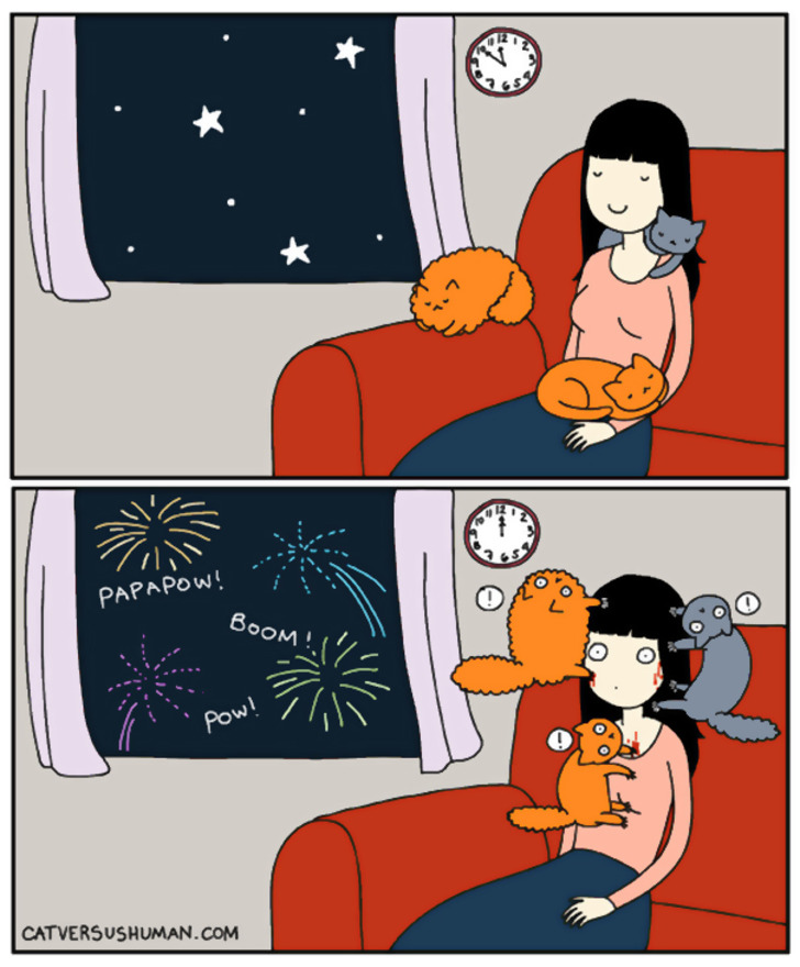 http://www.boredpanda.com/cat-logic-funny/ | boredpanda