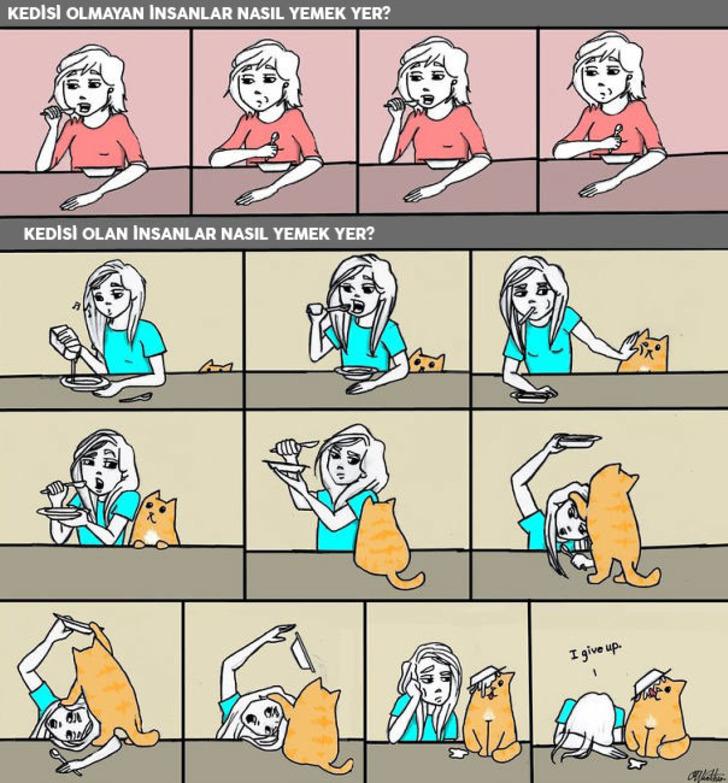 http://www.boredpanda.com/cat-logic-funny/ | boredpanda