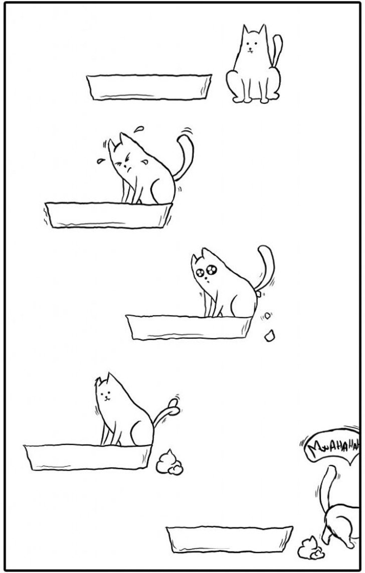 http://www.boredpanda.com/cat-logic-funny/ | boredpanda