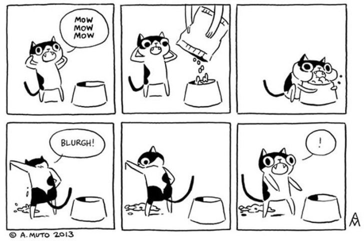 http://www.boredpanda.com/cat-logic-funny/ | boredpanda