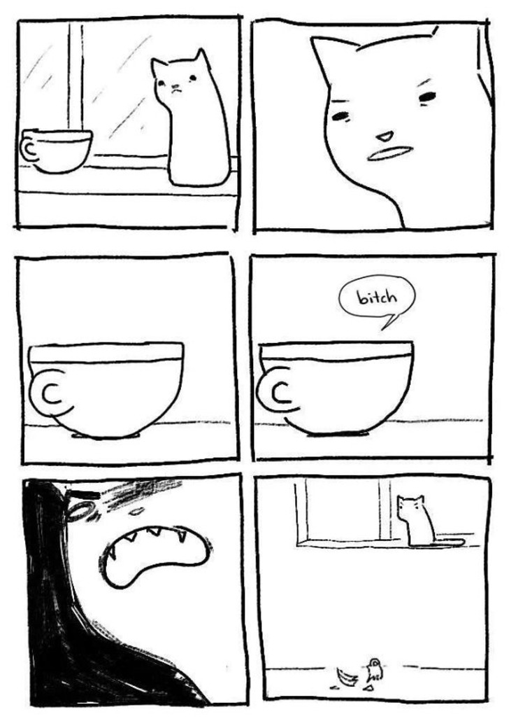 http://www.boredpanda.com/cat-logic-funny/ | boredpanda