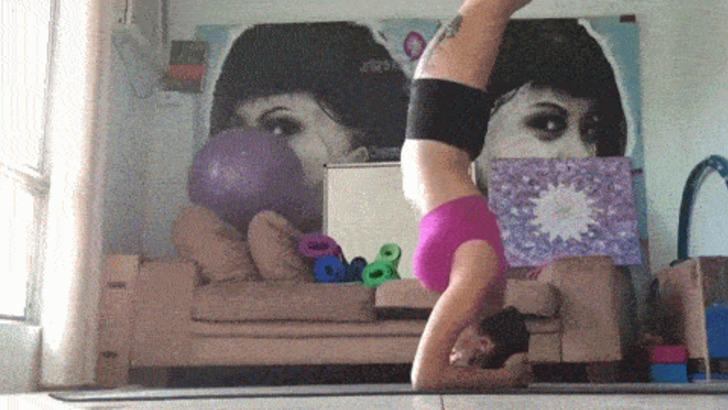 yoga-kedi