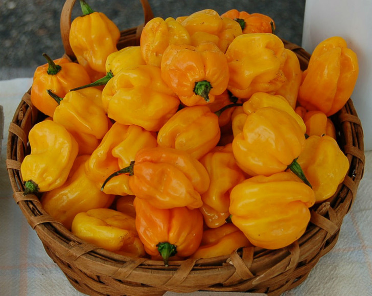 casselberryfarmersmarket - slow food