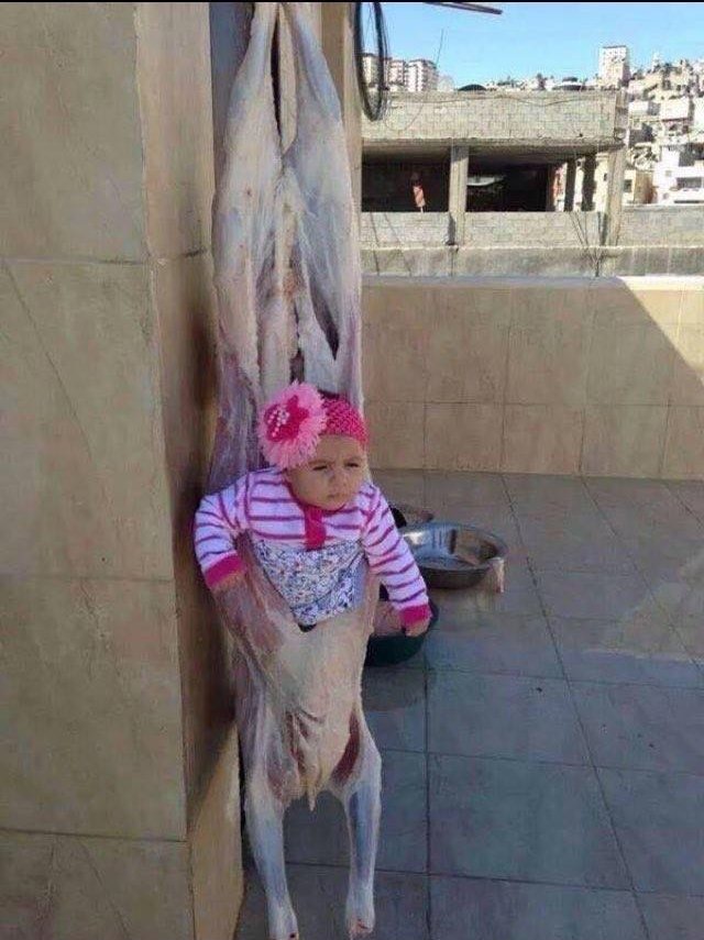 Sıradan Bir Günde Türkiye'de Görebileceğiniz 15 Anlamsız Fotoğraf