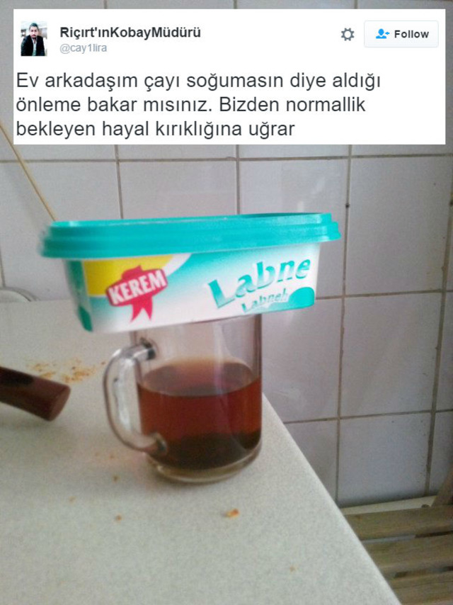 Ev Arkadaşına Sahip Olmanın Nasıl Bir Şey Olduğunu Anlatan 18 Acı-Tatlı Tweet