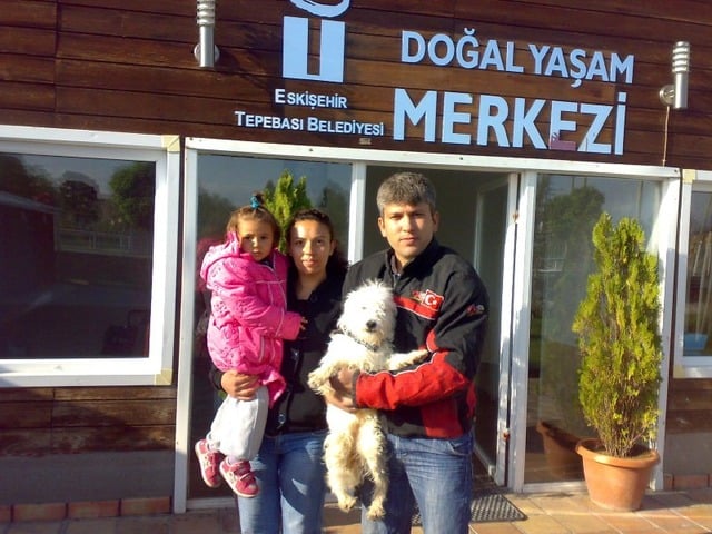 Mama Bağışı Yaparak Sahipsiz Hayvan Dostlarımızı Doyurabileceğiniz 45 Barınak