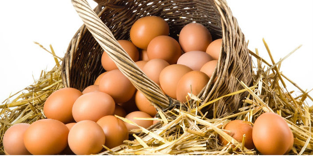 Yumurta Hakkında Mutlaka Bilmeniz Gereken Market Gerçekleri