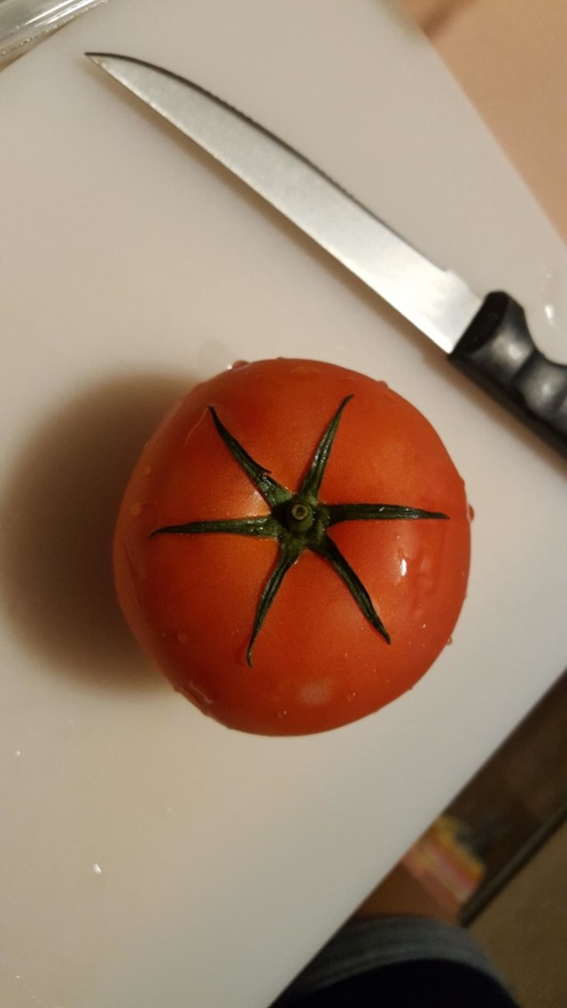 Gördüğünüzde Bir Kutu Antidepresan İçmiş Gibi Rahatlamanızı Sağlayacak 12 Fotoğraf