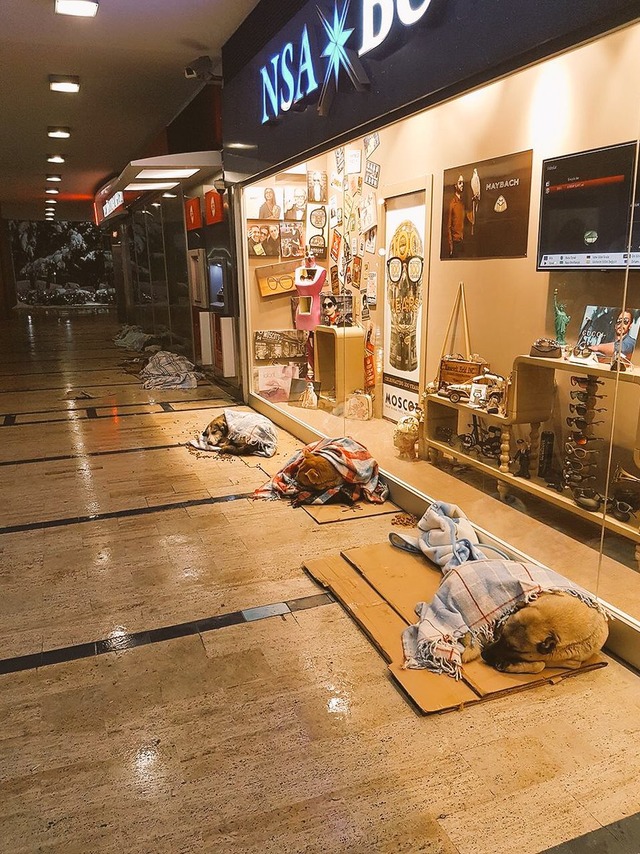 Soğuk Kış Günlerinde Sokaktaki Can Dostlarımıza Kapılarını Açan 19 Güzel Esnaf