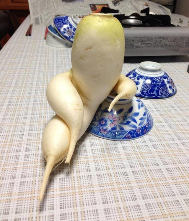 Doğanın Bizi Zaman Zaman Hunharca Trollediğinin Kanıtı 13 Fotoğraf