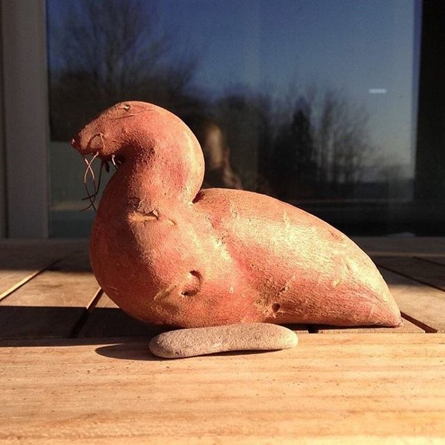 Doğanın Bizi Zaman Zaman Hunharca Trollediğinin Kanıtı 13 Fotoğraf