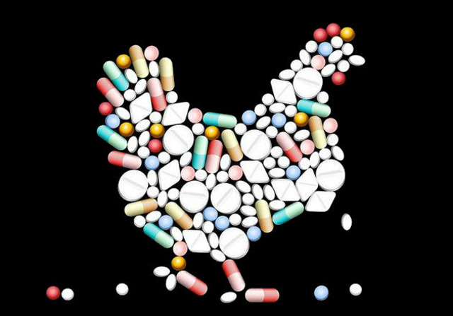 ''Artık Eve Tavuk Almıyorum'' Dedirten İddialar, Araştırmalar ve Antibiyotik Gerçekleri