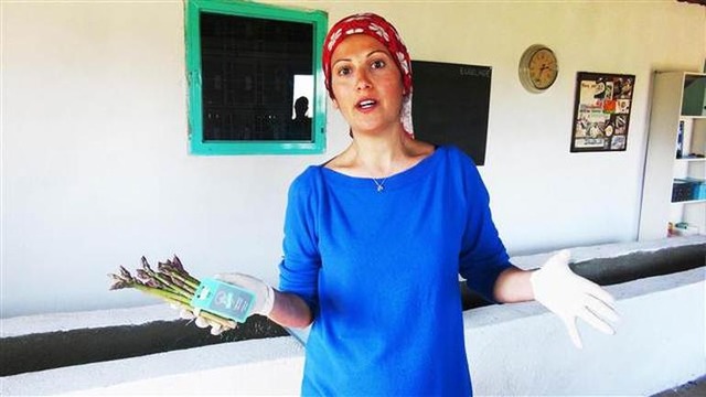 13 Yıllık Kariyerini Geride Bırakıp Muğla'da Kuşkonmaz Üreten ODTÜ'lü Kadın