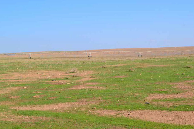 Durum Sandığınızdan Daha Ciddi: Türkiye'de Kırmızı Et Neden Pahalı?