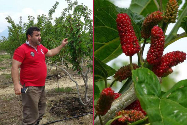 3 Üniversite Bitirip İşsiz Kalınca Sıra Dışı Bir Yöntemle Kazancını Katlayan Çiftçi