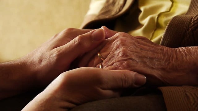 Müzeyyen Hanım'ın Peşinde: Kafede Unutulan Aşk Mektubu Sahibini Arıyor
