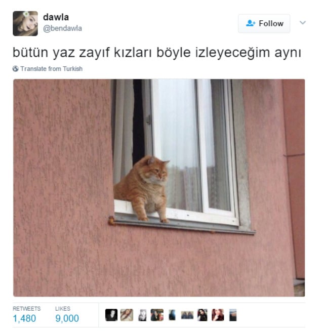 Yaza Hazır Olmadığını Hisseden Herkesin Okuması Gereken 15 Tweet