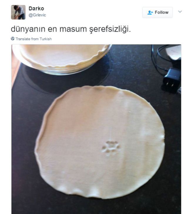 Söz Konusu Yemek Olduğunda Başı Kedilerle Tatlı Bir Belada Olan 12 Kişi